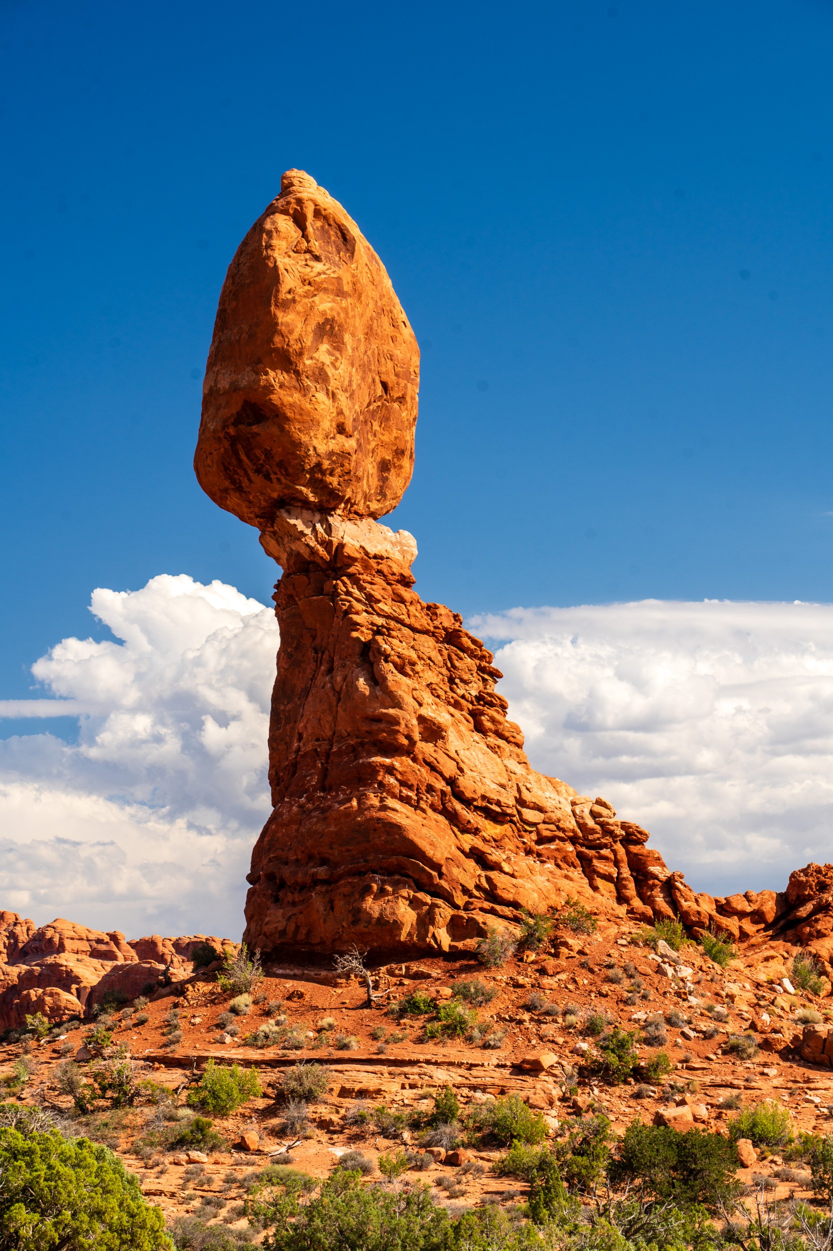 USA 2024 5 Sterne 125